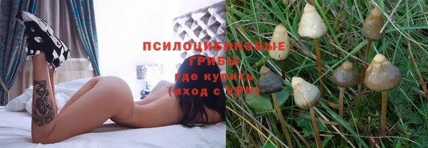 метадон Алексеевка