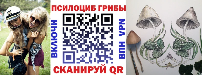 Галлюциногенные грибы мухоморы  Венёв 
